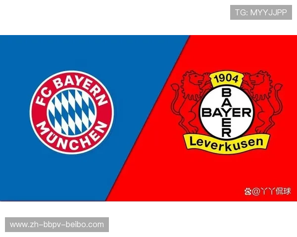 德甲著名球队盘点及其历史辉煌时刻回顾