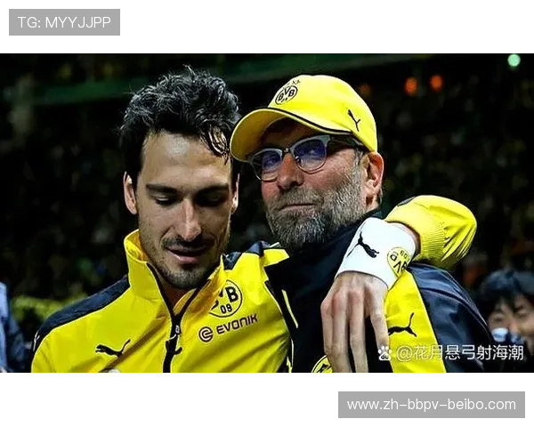 黄黑军团战力评估与德甲最新排名深度剖析及未来走势分析